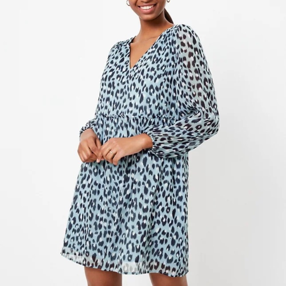 LOFT Leopard Print V-Neck Swing Dress